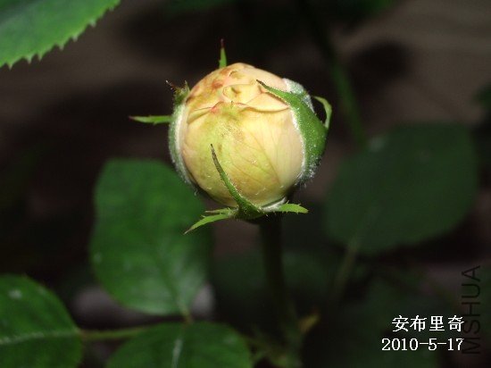 IMGP7501M.jpg