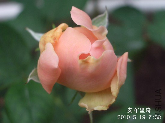 IMGP9513M.jpg