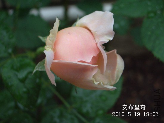 IMGP9543M.jpg