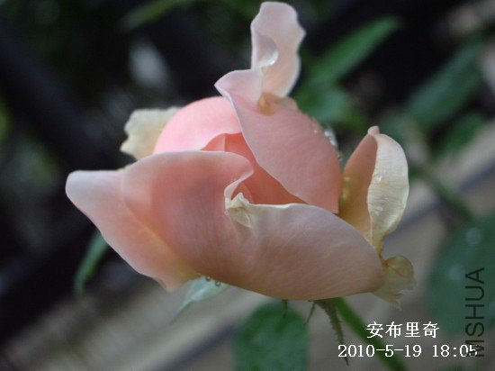 IMGP9553M.jpg