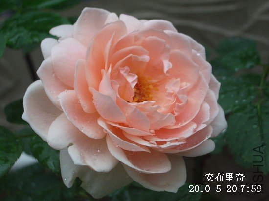 IMGP9556M.jpg