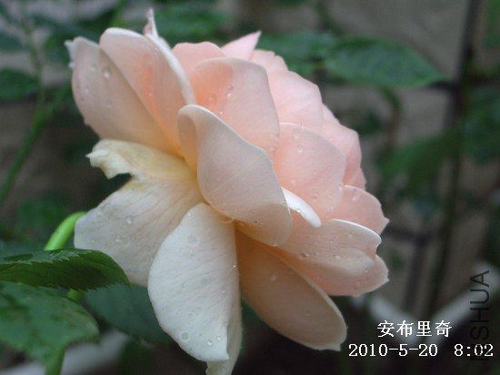 IMGP9568M.jpg
