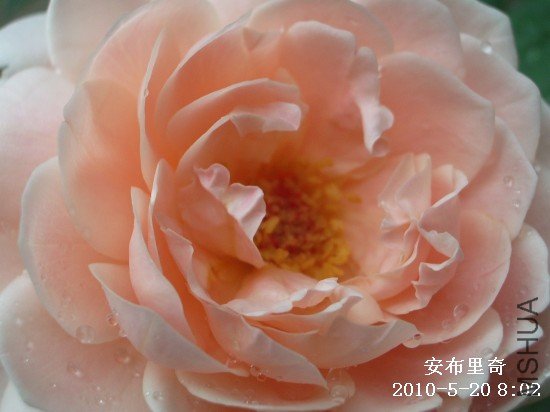 IMGP9569M.jpg