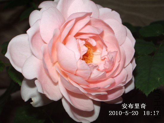IMGP9588M.jpg
