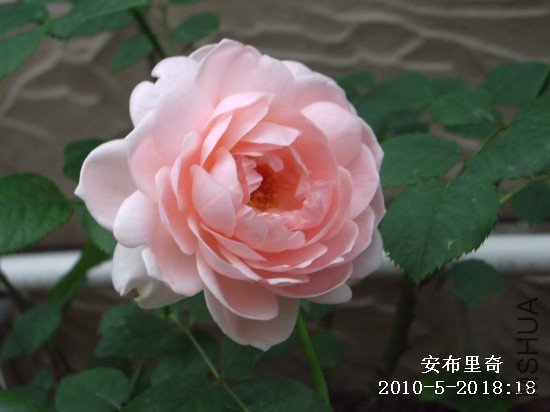 IMGP9591M.jpg