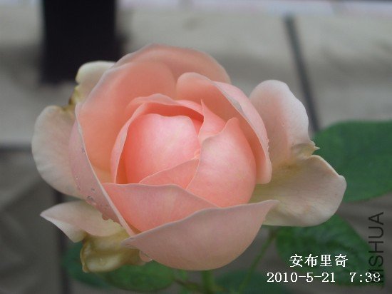 IMGP9596M.jpg