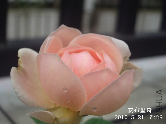 IMGP9598M.jpg
