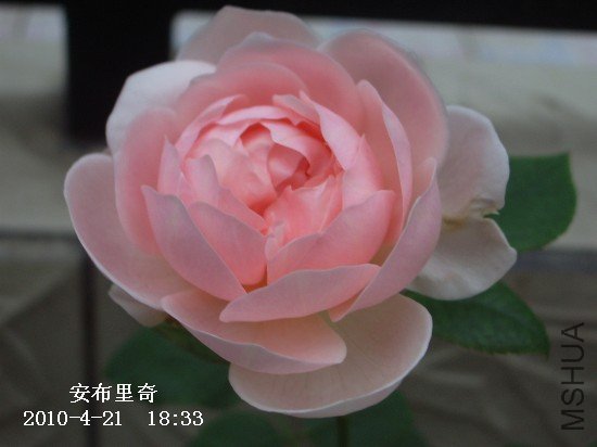 IMGP9612M.jpg