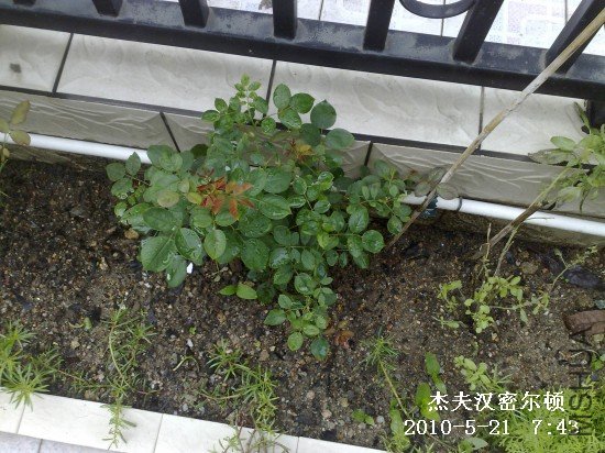 201005211723M.jpg