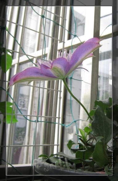 2010-05-08 ����Ů-��-do.jpg