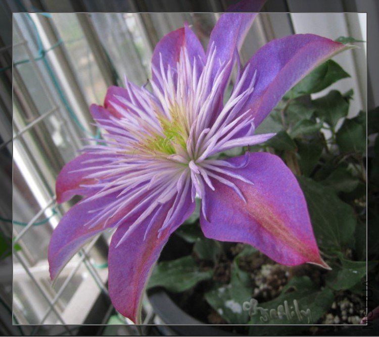 2010-05-08 ����-do.jpg