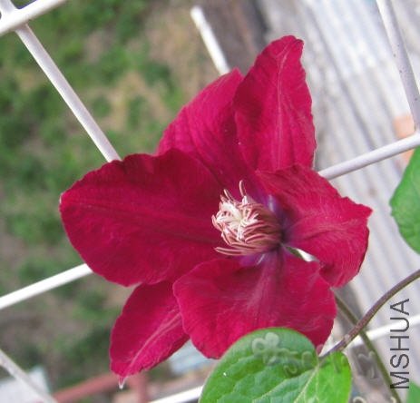 2010-05-12 �����ĺ������-do.jpg