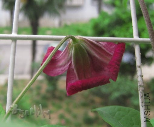 2010-05-16 ������-�-do.jpg