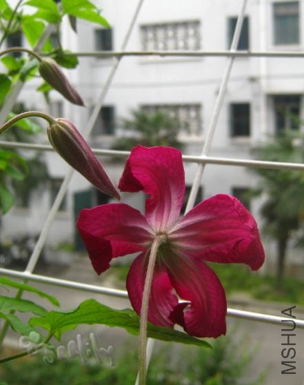 2010-05-18 �����Ǳ�Ӱ-do.jpg