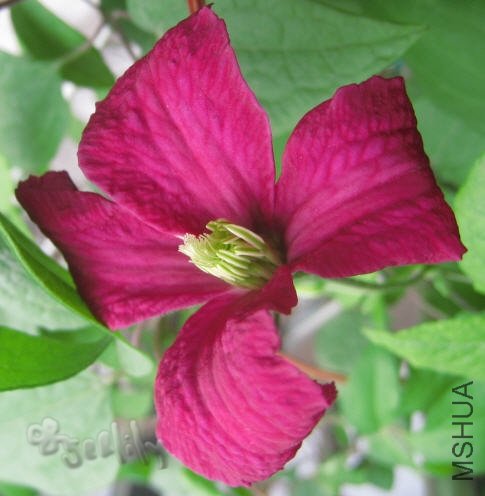 2010-05-15 ������-��д-do.jpg