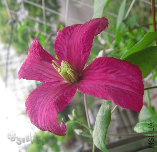 2010-05-16 ��������д-do.jpg