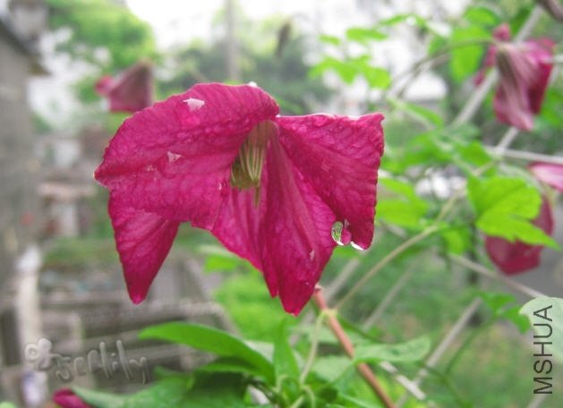 2010-05-19 ������-do.jpg