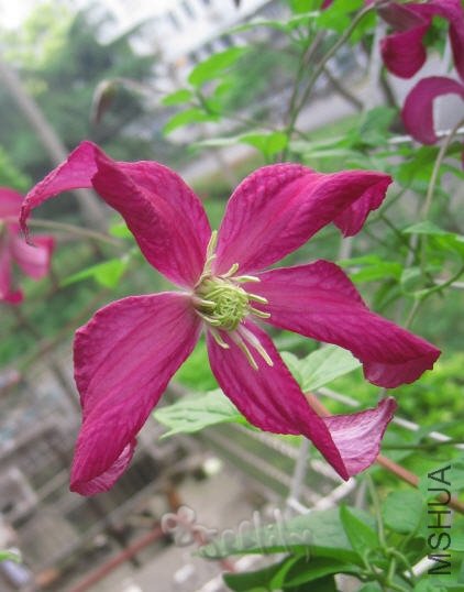 2010-05-20 ������-do.jpg