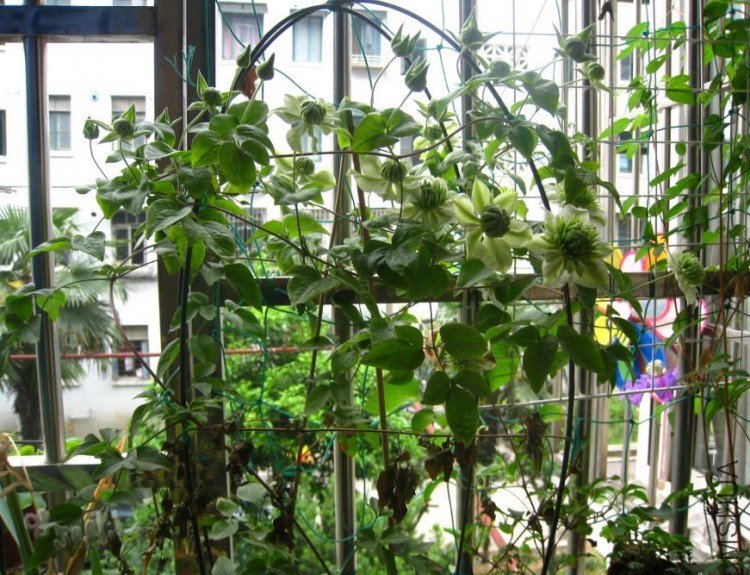 2010-05-20 С�̻���-do.jpg