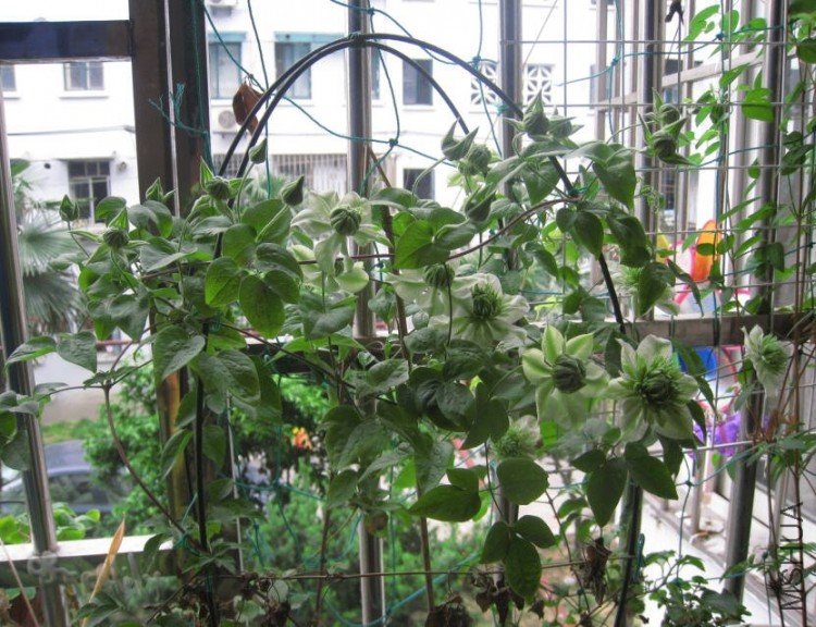 2010-05-20 С�̿�����-do.jpg