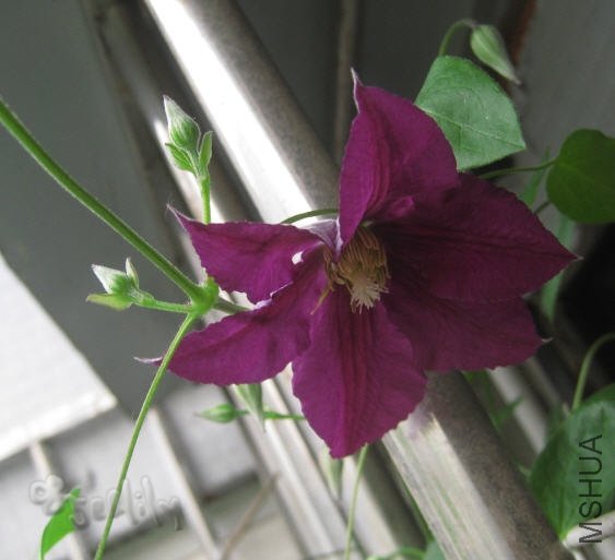 2010-05-20 ����-do.jpg