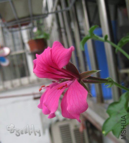 2010-05-21 ��-������-do.jpg