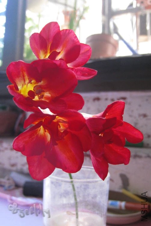 2010-05-10 ����������е���-do.jpg