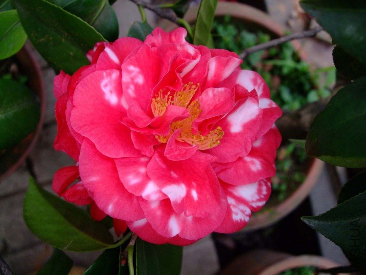 ��Ƭ10-5-21 046.jpg