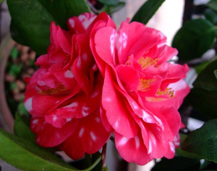 ��Ƭ10-5-21 045.jpg