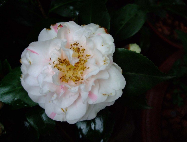 ��Ƭ10-5-22 047.jpg