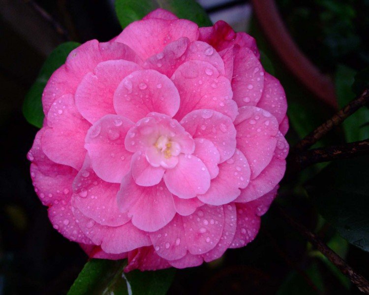 ��Ƭ10-5-22 04911.jpg