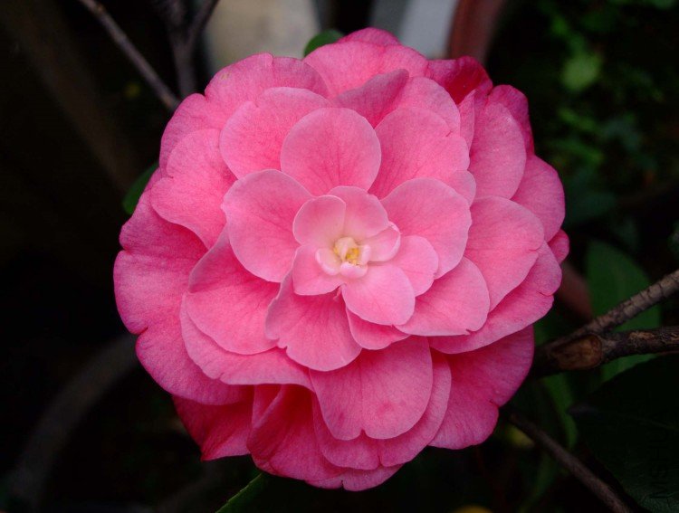 ��Ƭ10-5-21 044.jpg