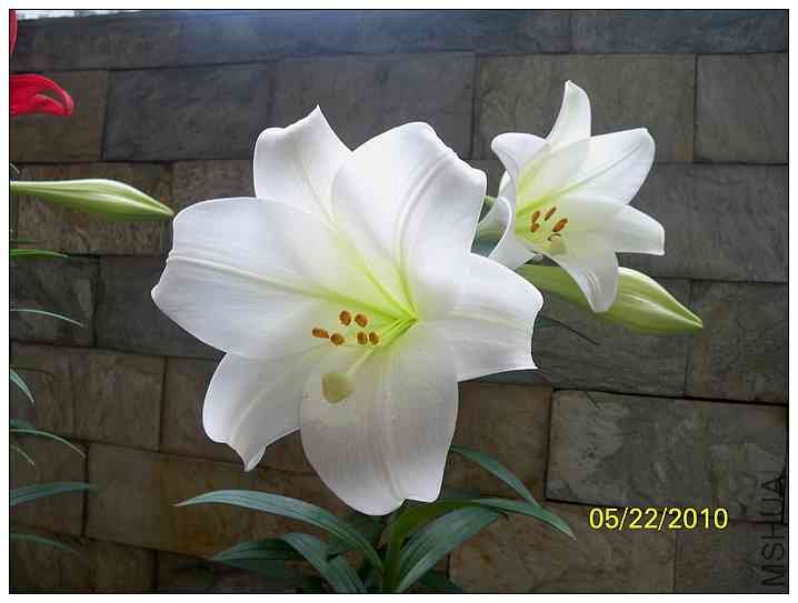 �ٺϳɳ�ʷ 028.jpg