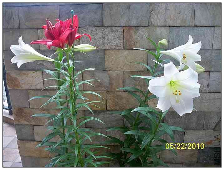 �ٺϳɳ�ʷ 025.jpg