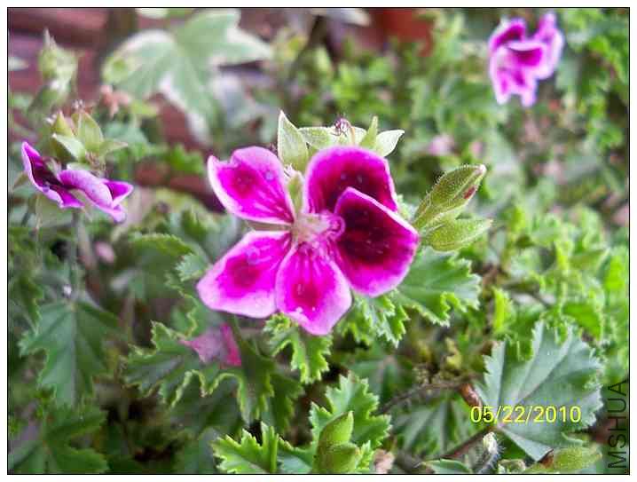 ���ÿ� 012.jpg