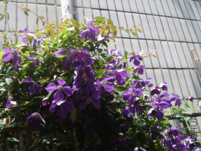 DSC04738.JPG