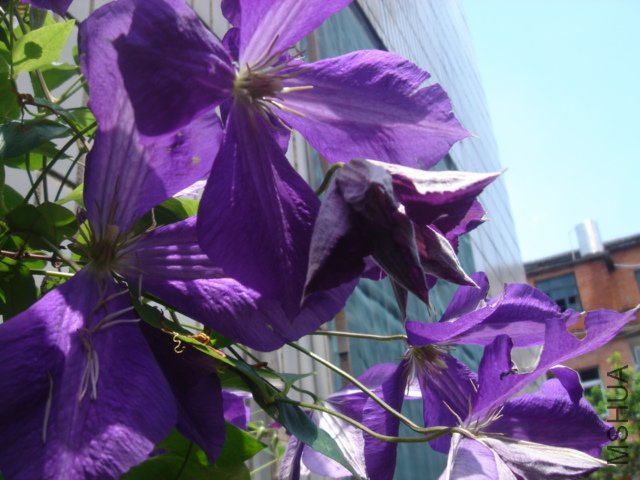 DSC04743.JPG