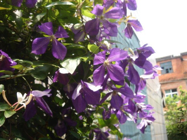 DSC04744.JPG
