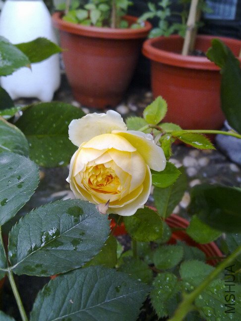 201005183732.jpg