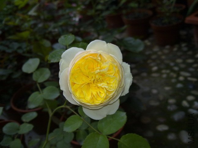 201005203882.jpg
