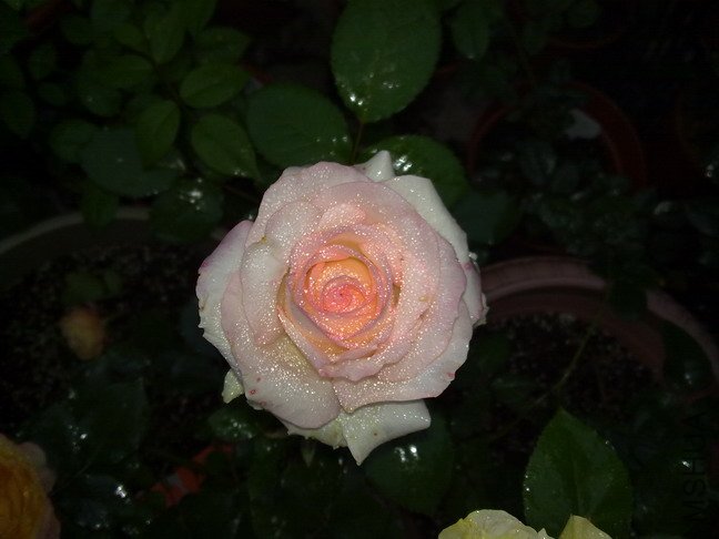 201005153603.jpg