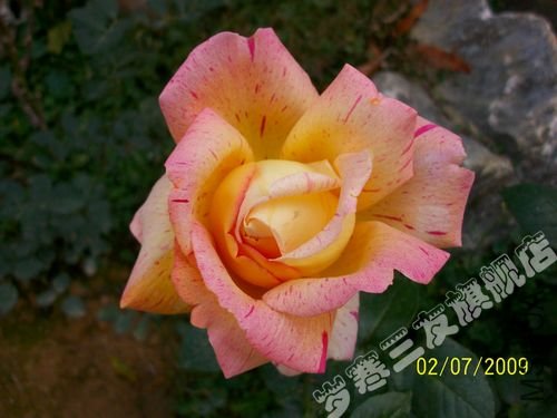 18583fa1257fb2b8a04b638cc7f632af.jpg