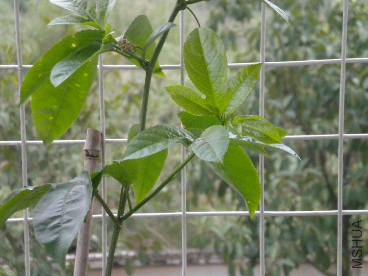 �����?�������������