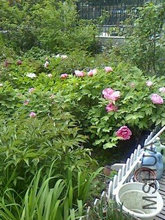 IMG0410124501.jpg