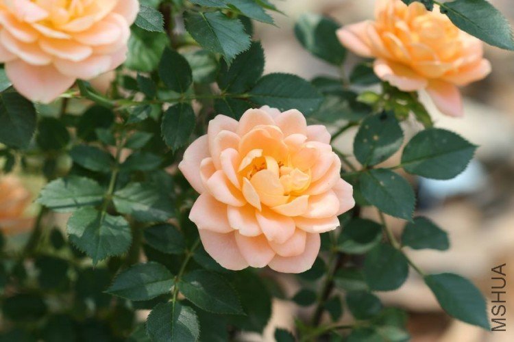 nEO_IMG_�� 154.jpg