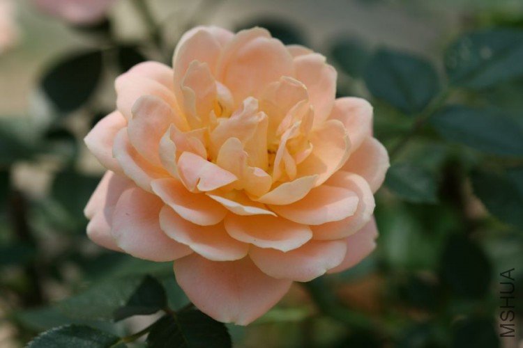 nEO_IMG_�� 155.jpg