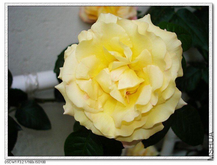 nEO_IMG_DSC00190.jpg
