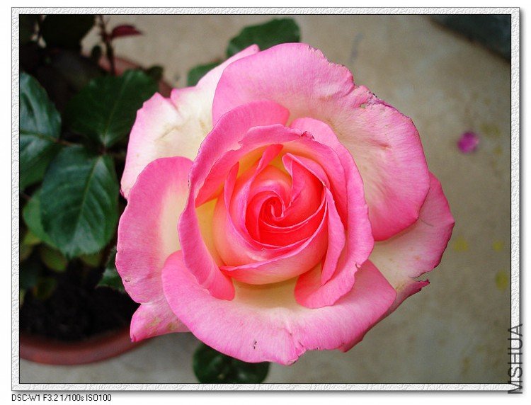 nEO_IMG_DSC00189.jpg