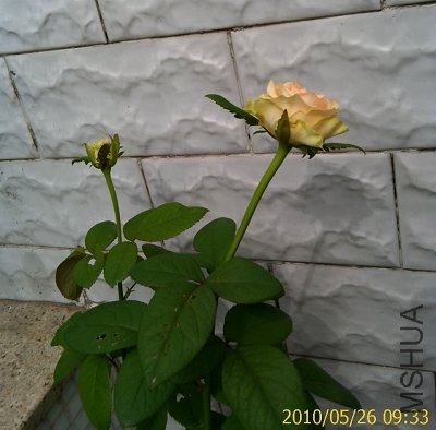 IMAG0243.jpg