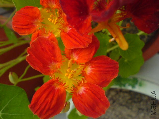 DSC03739.JPG
